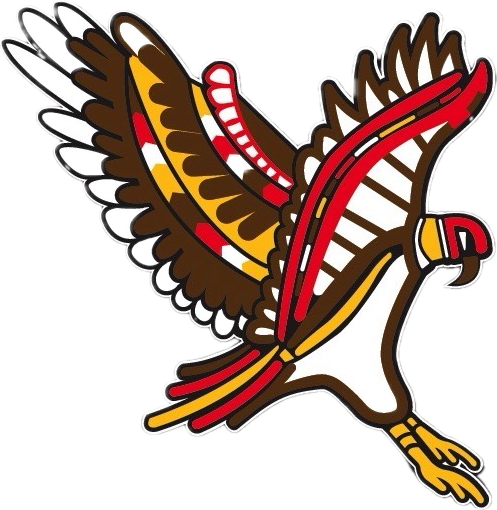 FIRST NATIONS Productions AUSTRALIA